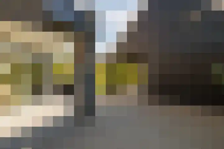 Gelpenberg 9 A Aalden thumbnail 48