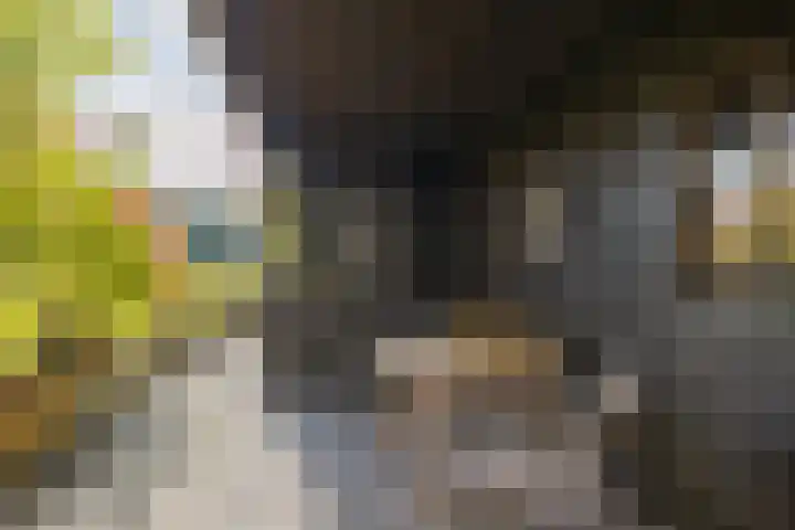 Gelpenberg 9 A Aalden thumbnail 49