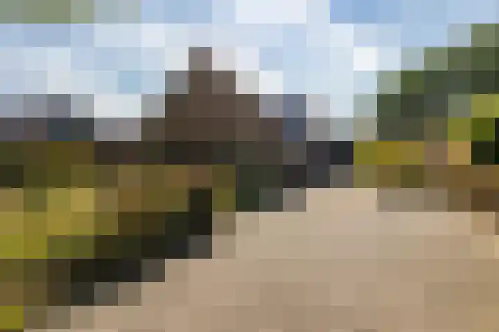 Gelpenberg 9 A Aalden thumbnail 5