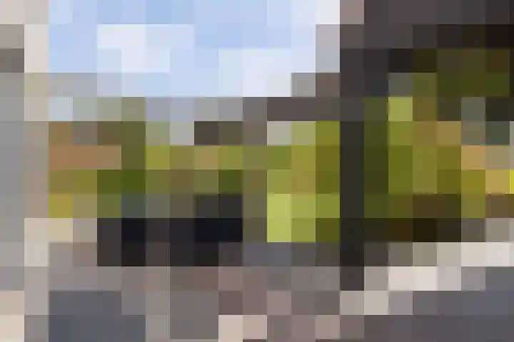 Gelpenberg 9 A Aalden thumbnail 50