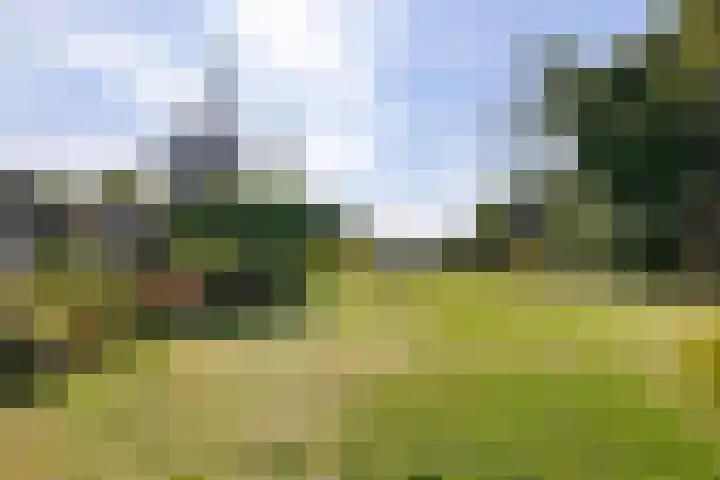 Gelpenberg 9 A Aalden thumbnail 51