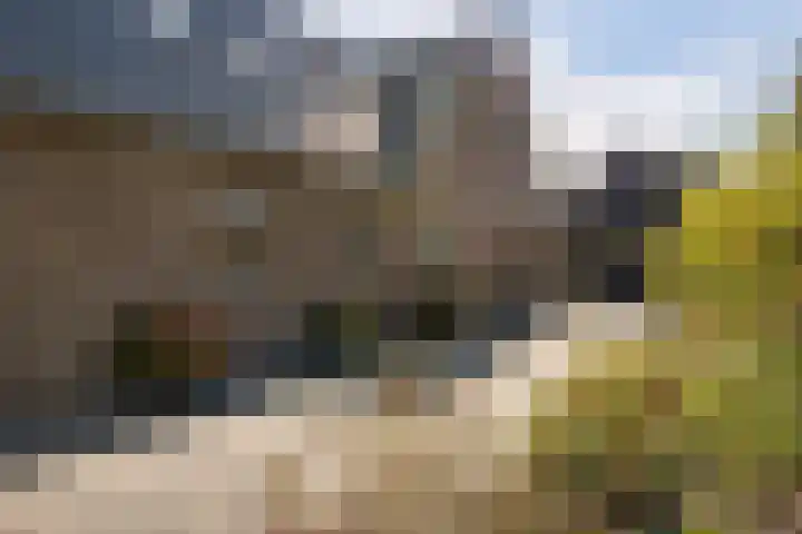 Gelpenberg 9 A Aalden thumbnail 7