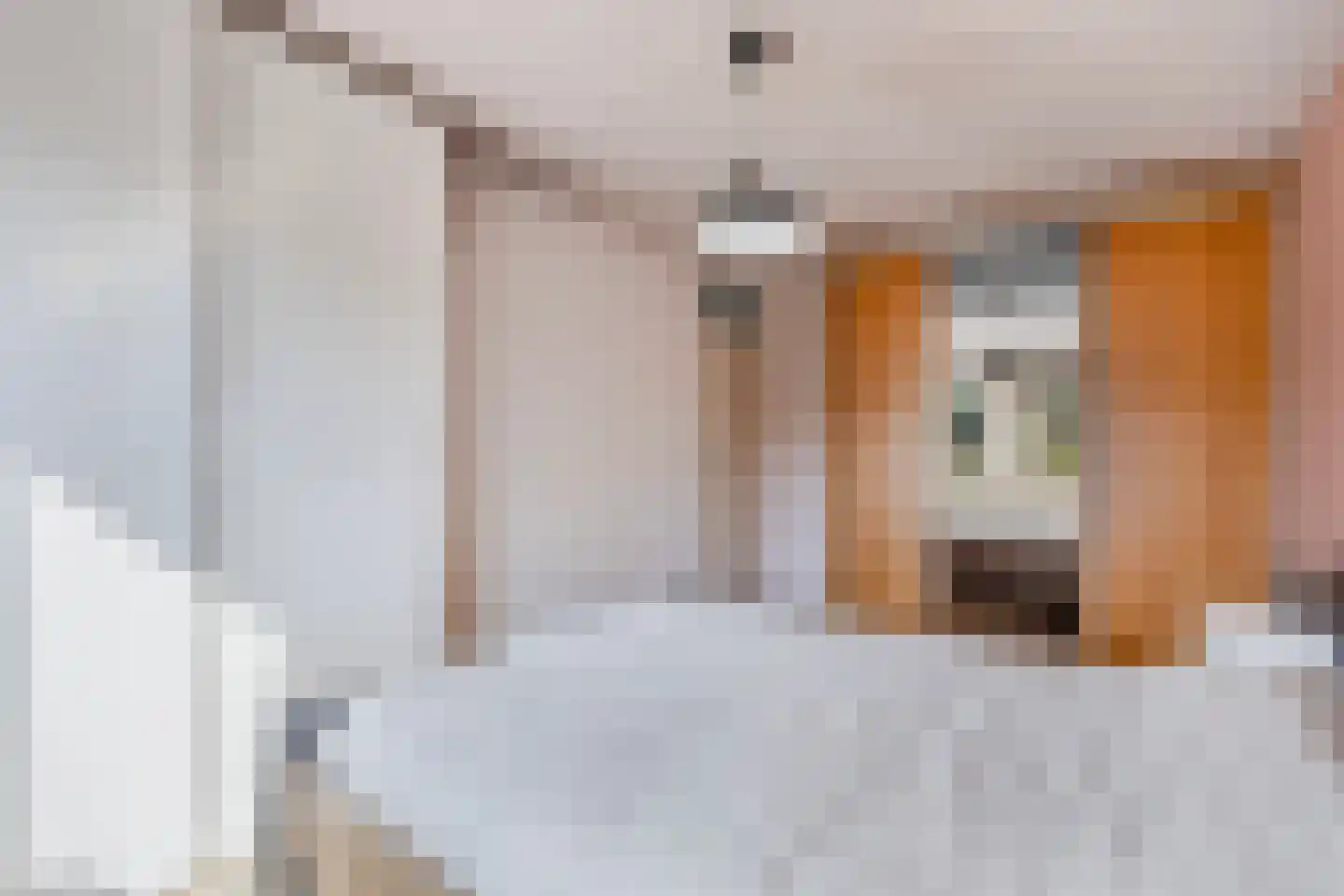 Gelrelaan 15 Emmeloord thumbnail 17