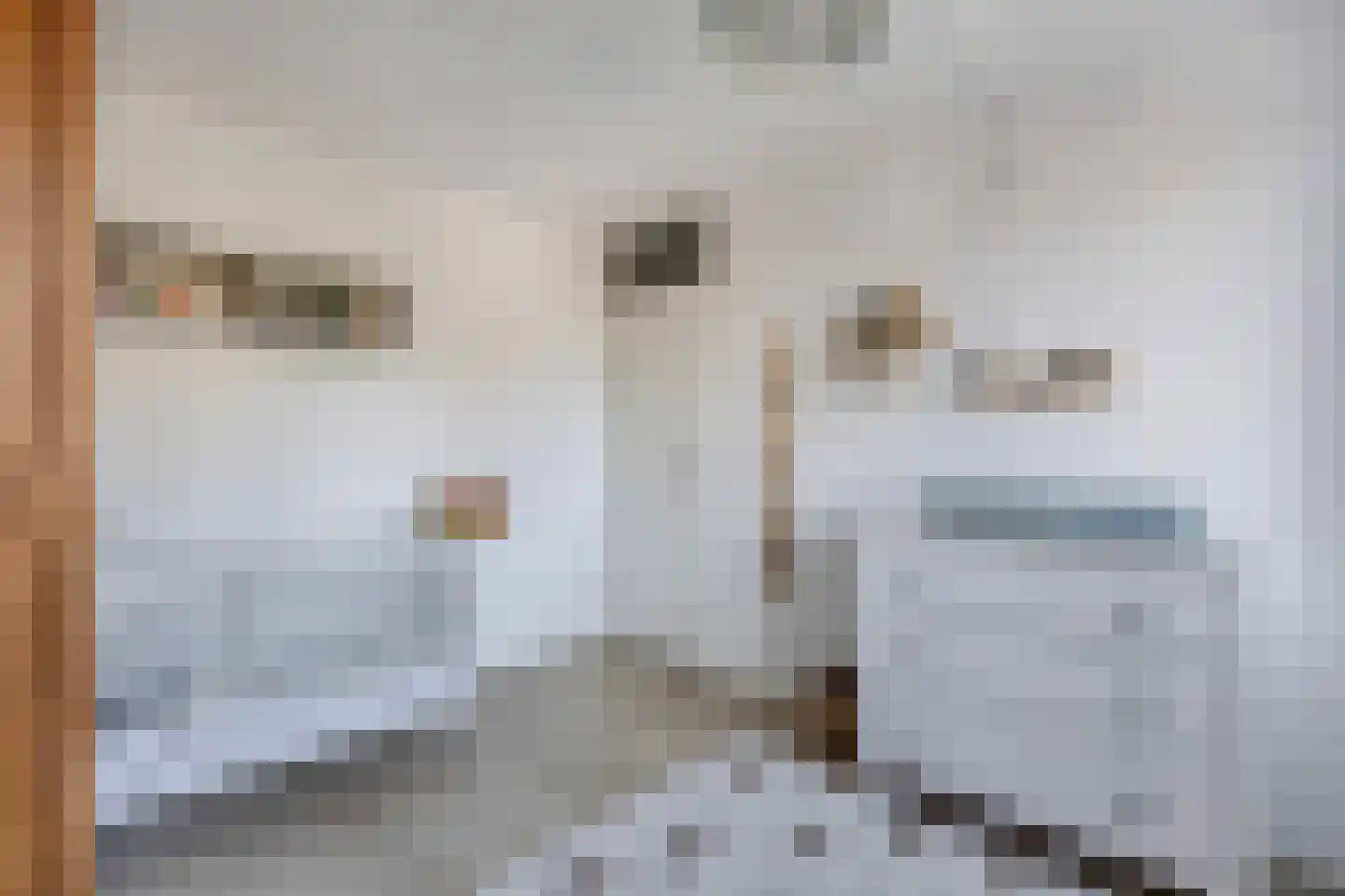 Gelrelaan 15 Emmeloord thumbnail 21