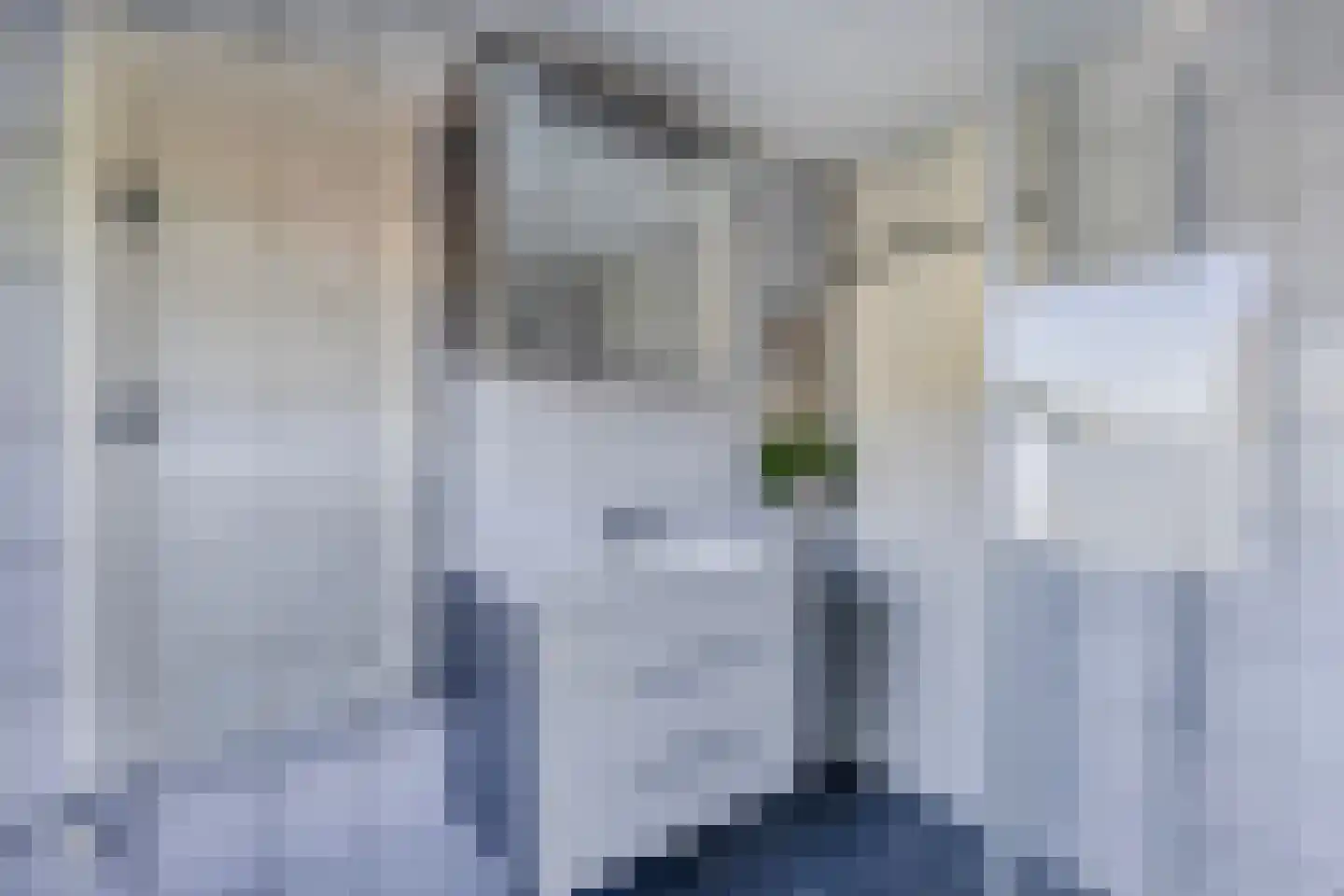 Gelrelaan 15 Emmeloord thumbnail 23