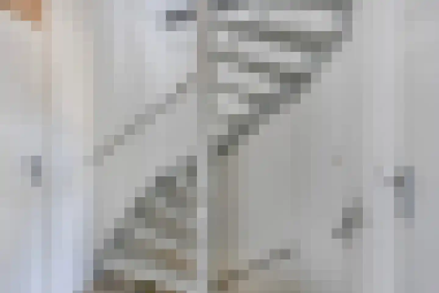 Gelrelaan 15 Emmeloord thumbnail 25