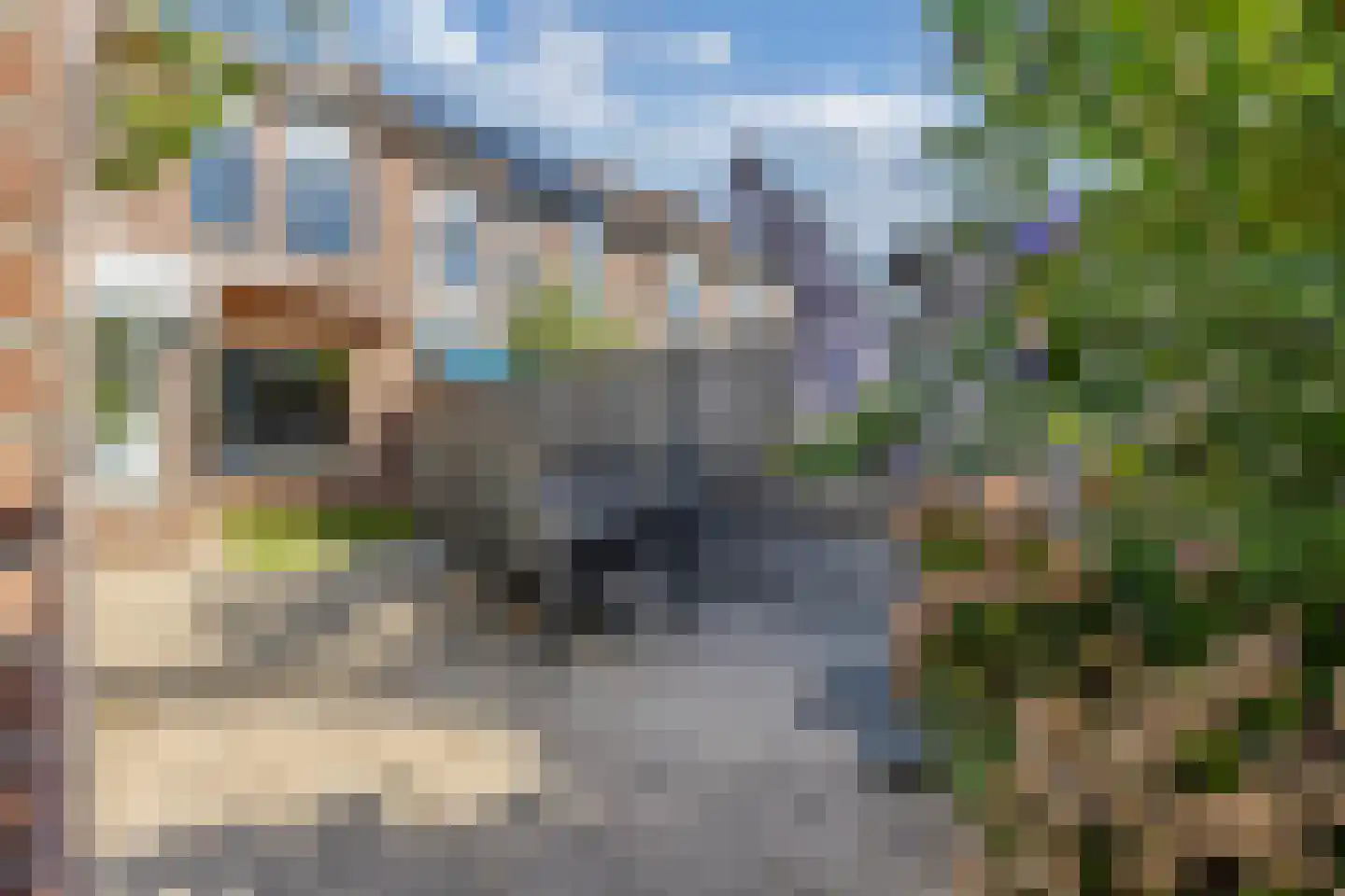Gelrelaan 15 Emmeloord thumbnail 36