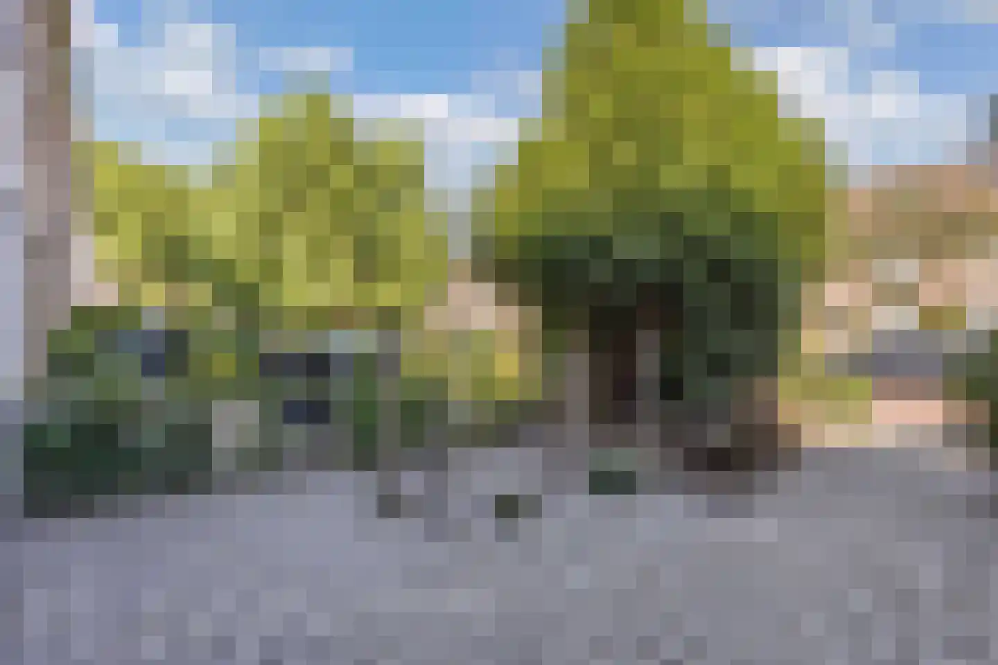 Gelrelaan 15 Emmeloord thumbnail 42