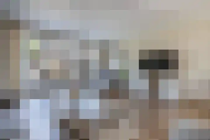 Gelrelaan 16 Emmeloord thumbnail 12