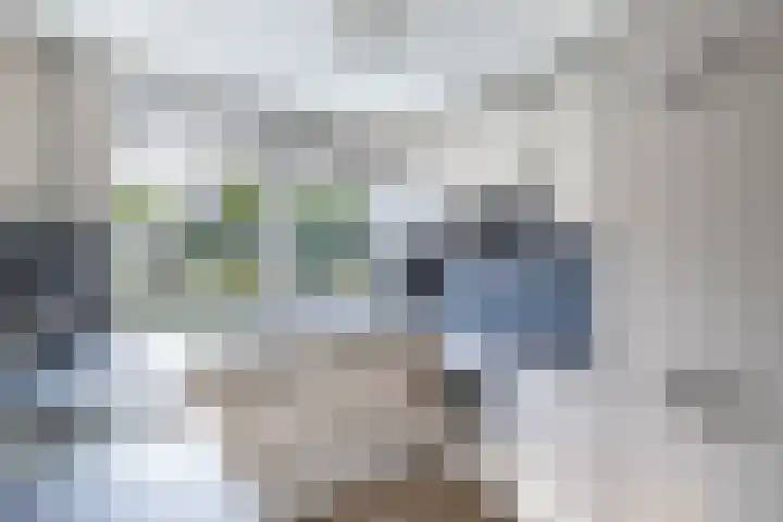 Gelrelaan 16 Emmeloord thumbnail 15