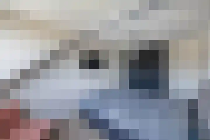 Gelrelaan 16 Emmeloord thumbnail 18