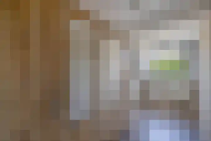 Gelrelaan 16 Emmeloord thumbnail 19