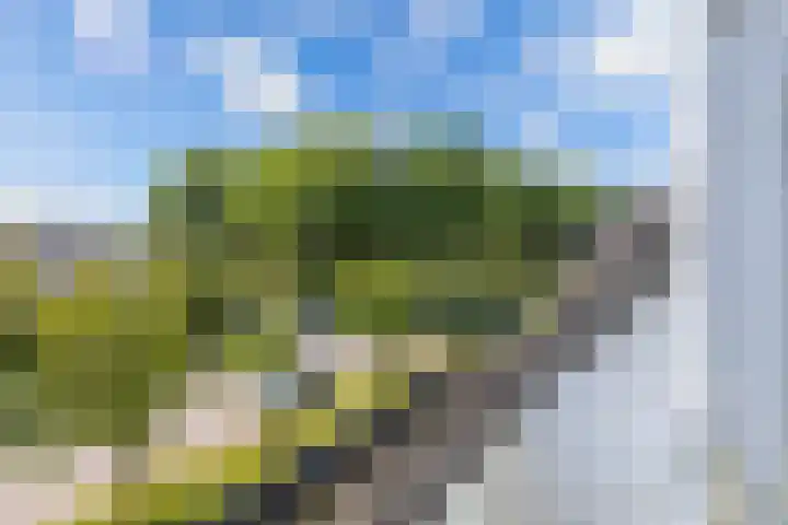 Gelrelaan 16 Emmeloord thumbnail 31
