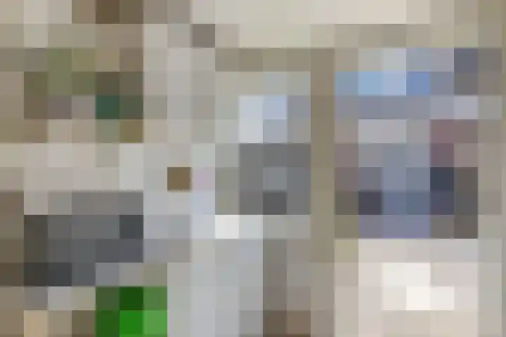 Gelrelaan 16 Emmeloord thumbnail 36