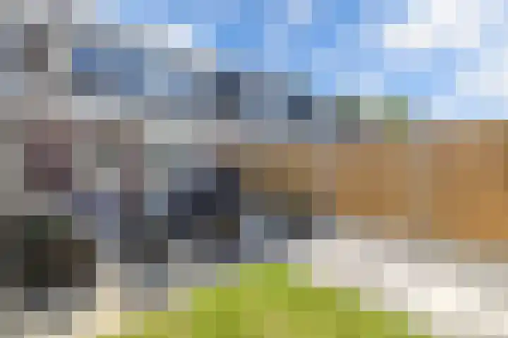 Gelrelaan 16 Emmeloord thumbnail 38