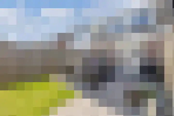 Gelrelaan 16 Emmeloord thumbnail 39