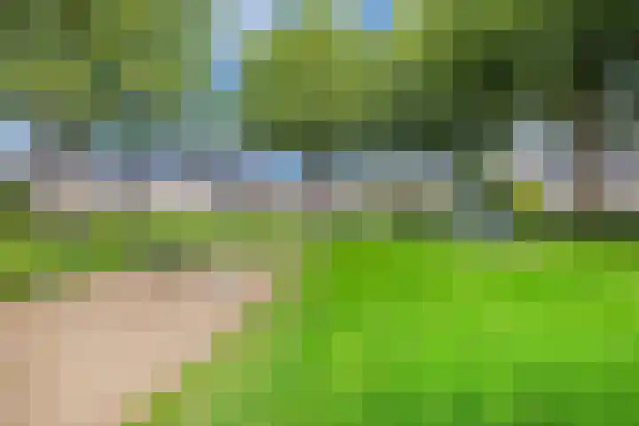 Gelrelaan 16 Emmeloord thumbnail 43