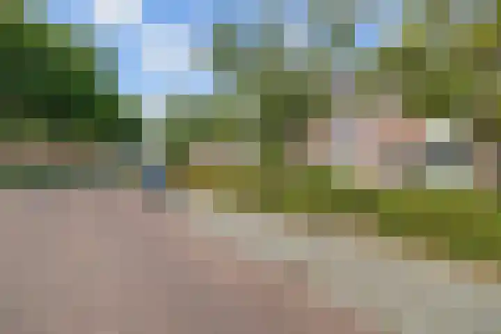 Gelrelaan 16 Emmeloord thumbnail 5