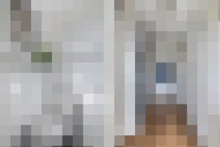 Gelrelaan 16 Emmeloord thumbnail 7