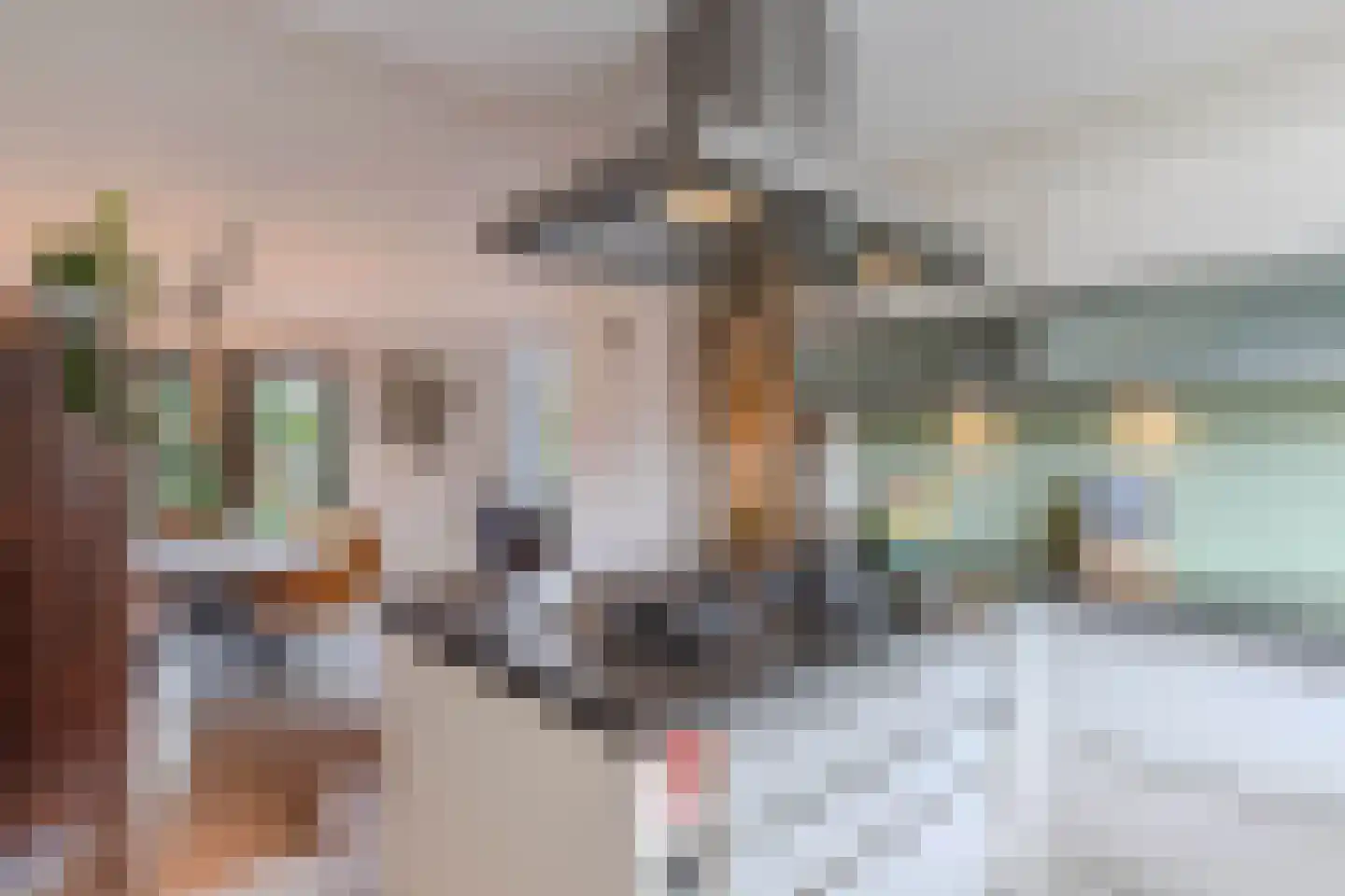Gelrelaan 42 Emmeloord thumbnail 24