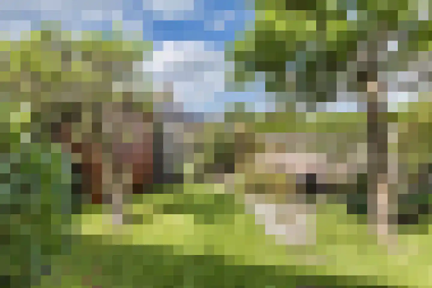 Gelrelaan 42 Emmeloord thumbnail 41