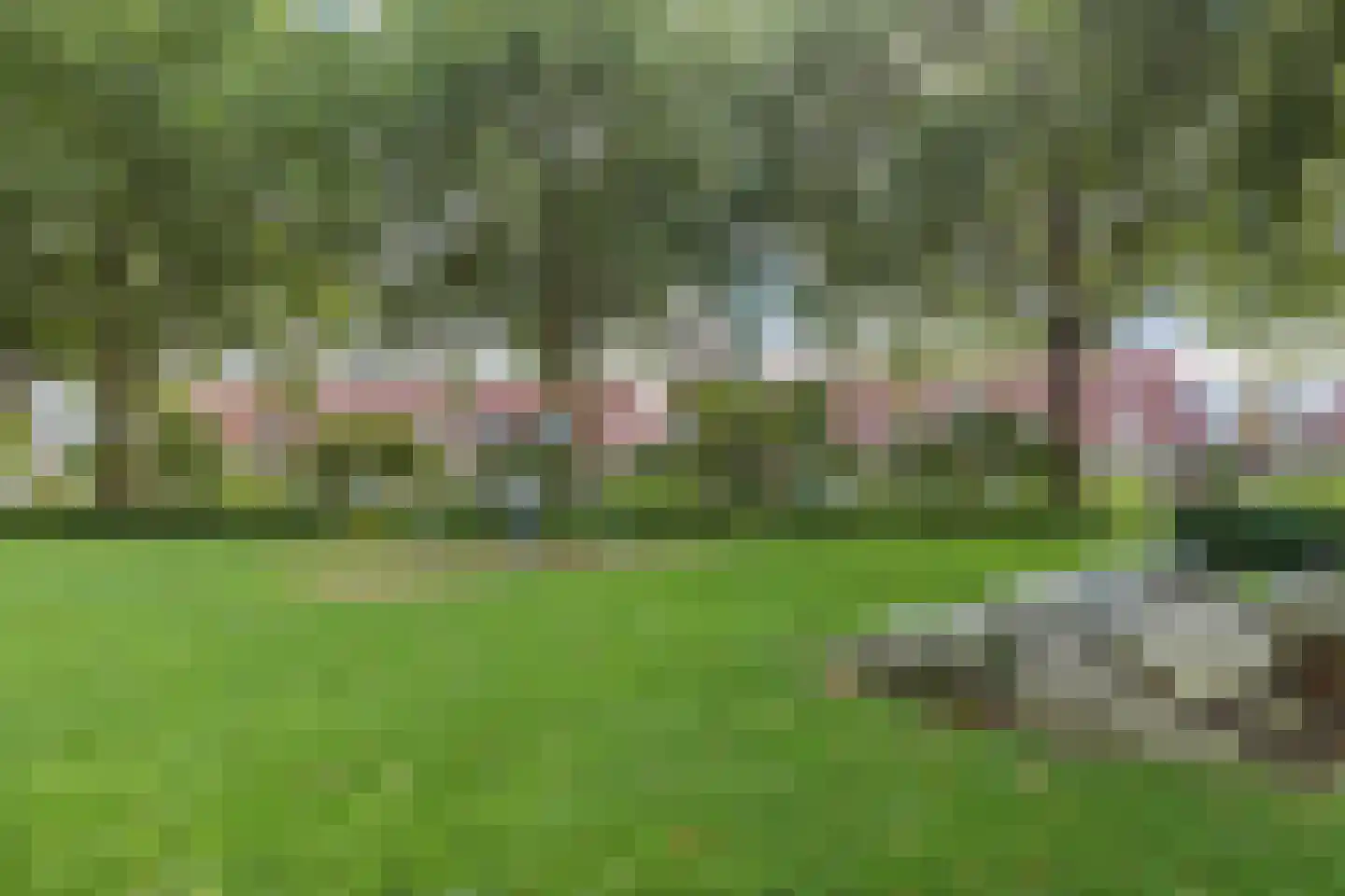 Gelrelaan 42 Emmeloord thumbnail 47