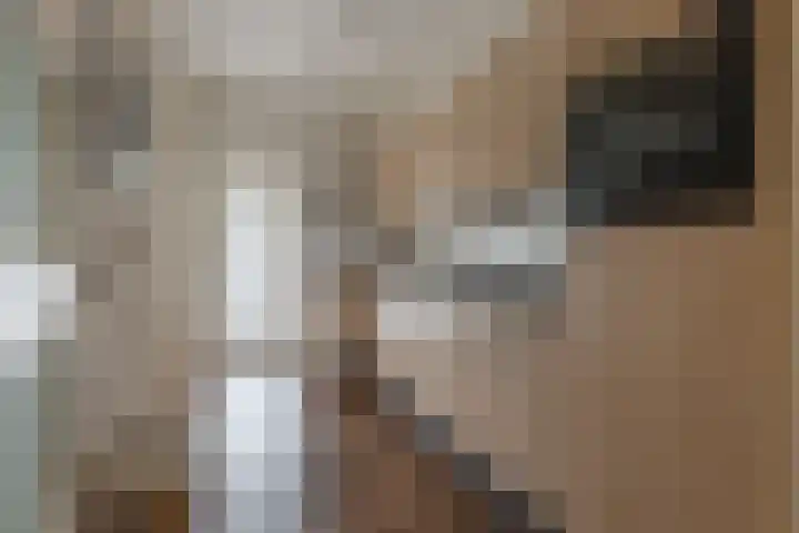 Gelrelaan 7 Veendam thumbnail 11