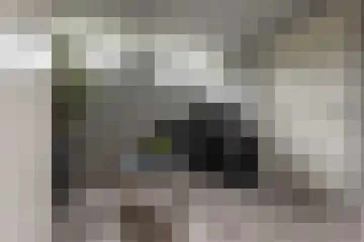 Gelrelaan 7 Veendam thumbnail 12