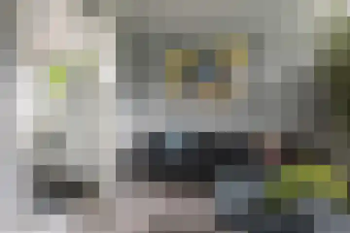 Gelrelaan 7 Veendam thumbnail 13