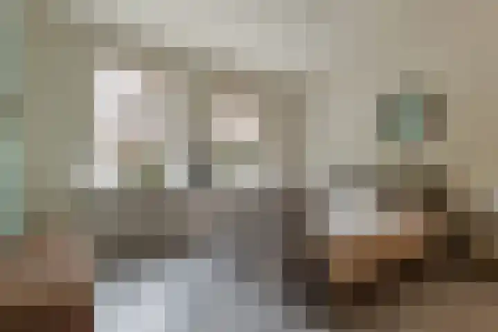 Gelrelaan 7 Veendam thumbnail 16
