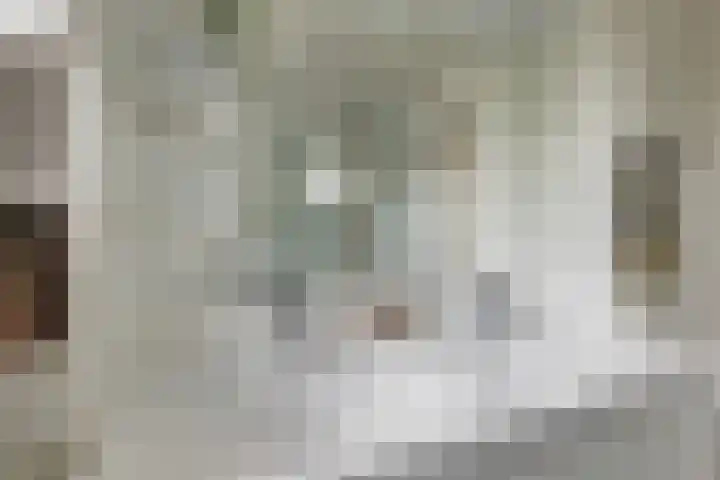 Gelrelaan 7 Veendam thumbnail 19
