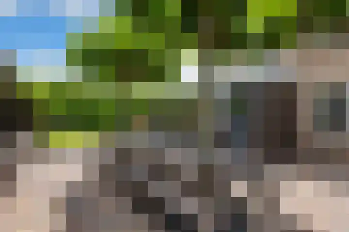 Gelrelaan 7 Veendam thumbnail 24