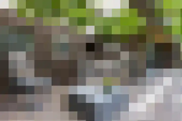Gelrelaan 7 Veendam thumbnail 25