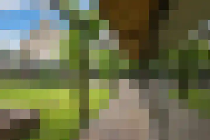 Gelrelaan 7 Veendam thumbnail 27