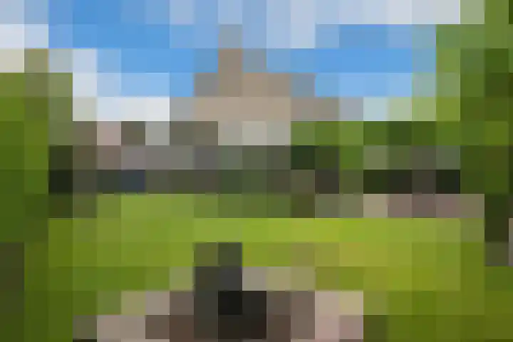 Gelrelaan 7 Veendam thumbnail 28