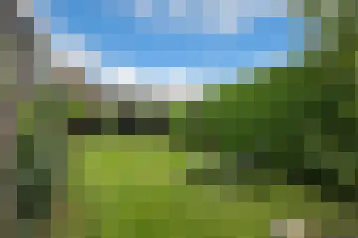 Gelrelaan 7 Veendam thumbnail 29