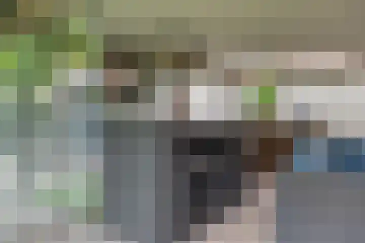 Gelrelaan 7 Veendam thumbnail 33