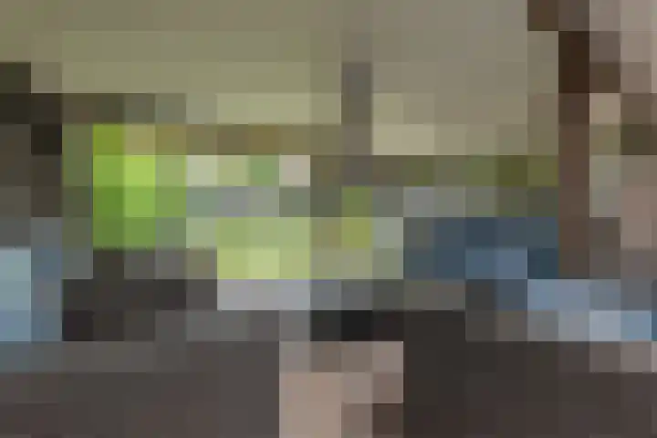 Gelrelaan 7 Veendam thumbnail 5