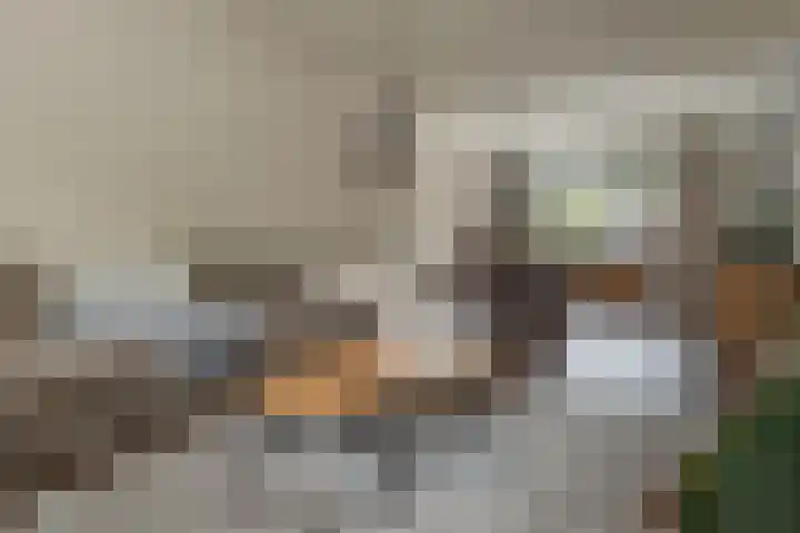 Gelrelaan 7 Veendam thumbnail 7