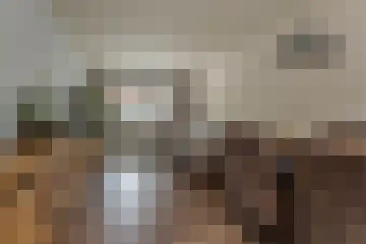 Gelrelaan 7 Veendam thumbnail 9