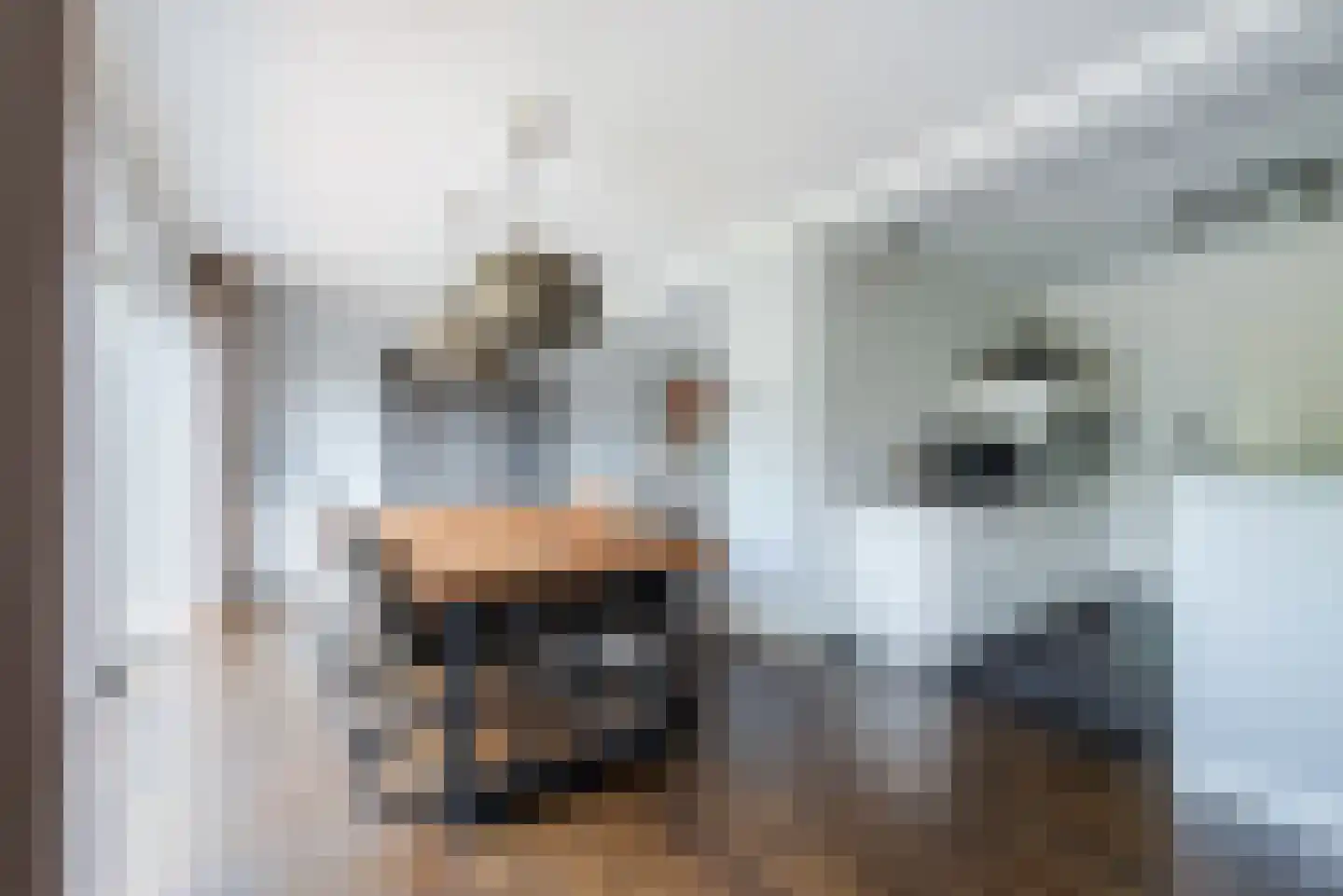 Gelreplein 16 Linne thumbnail 16