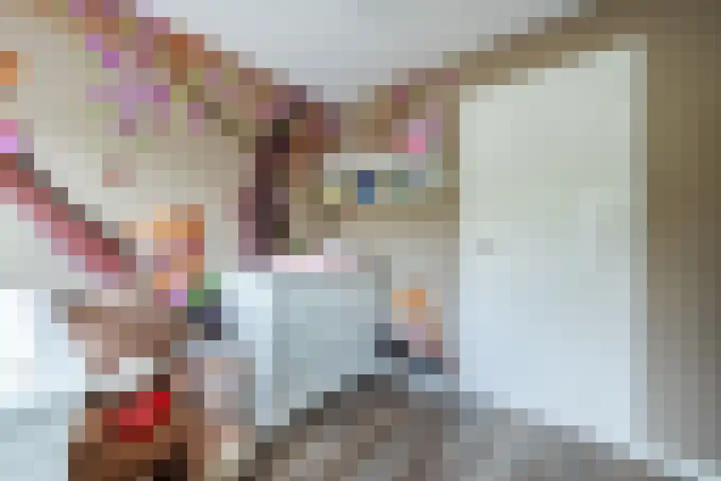 Gelreplein 16 Linne thumbnail 25