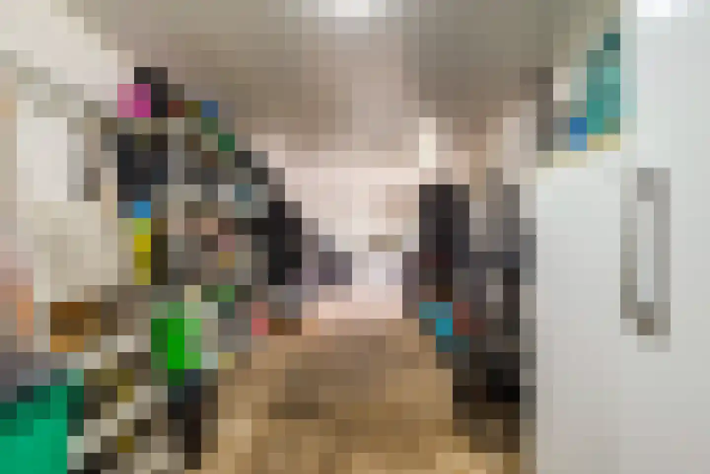 Gelreplein 16 Linne thumbnail 38