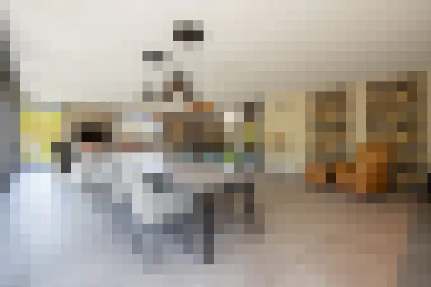 Gelreplein 2 Linne thumbnail 10