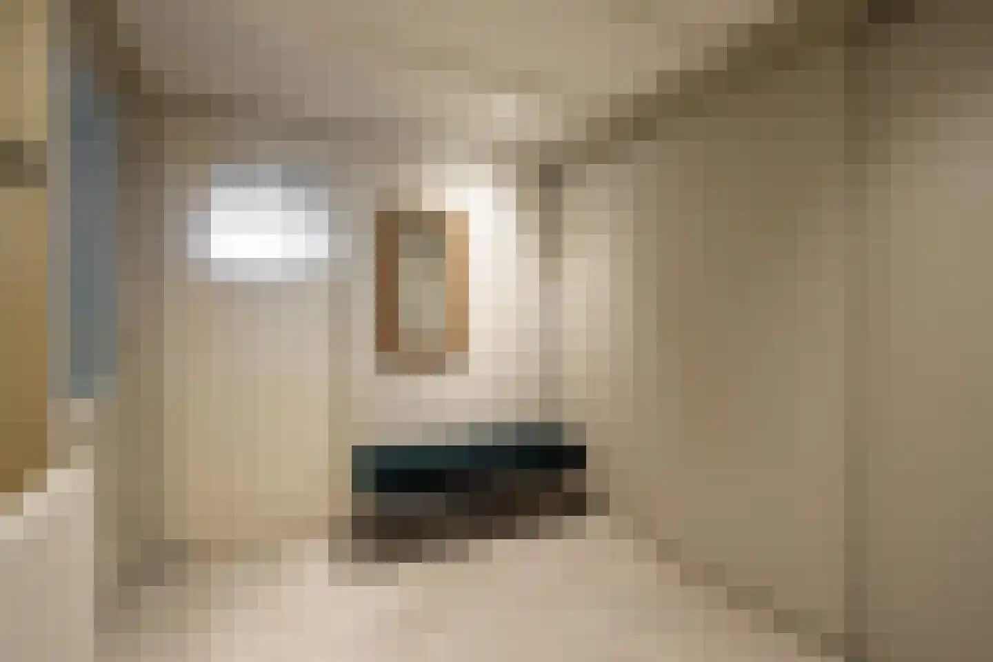 Gelreplein 2 Linne thumbnail 29
