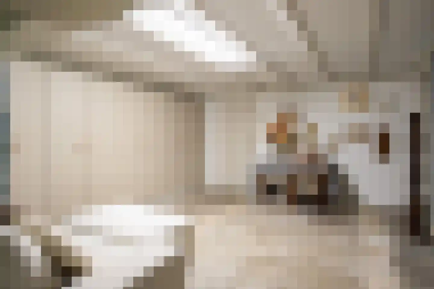 Gelreplein 2 Linne thumbnail 31