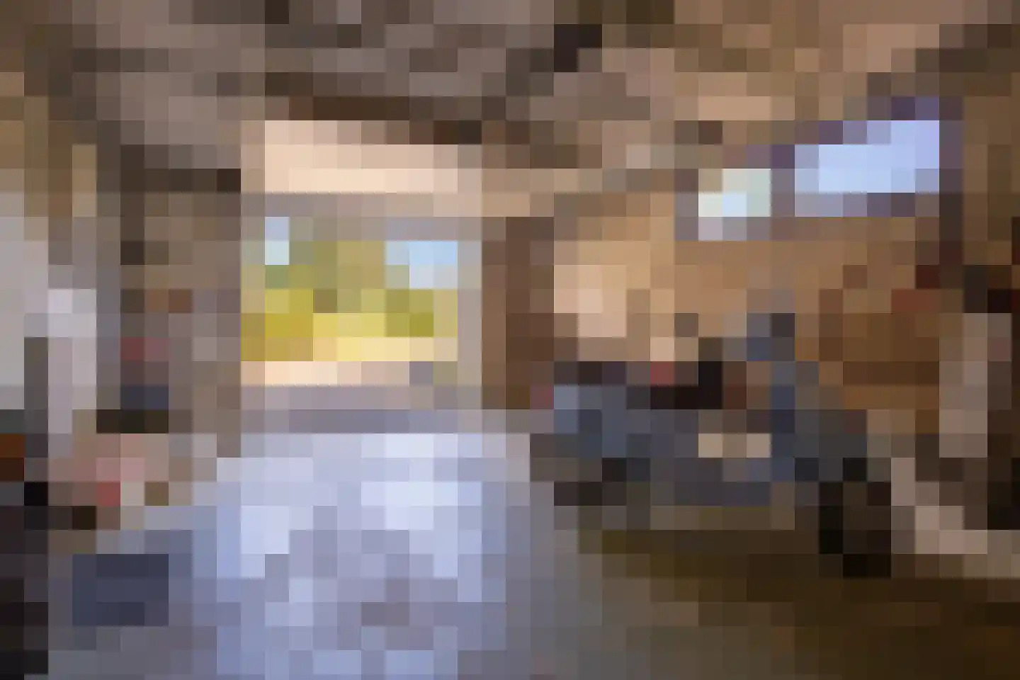 Gelreplein 2 Linne thumbnail 33