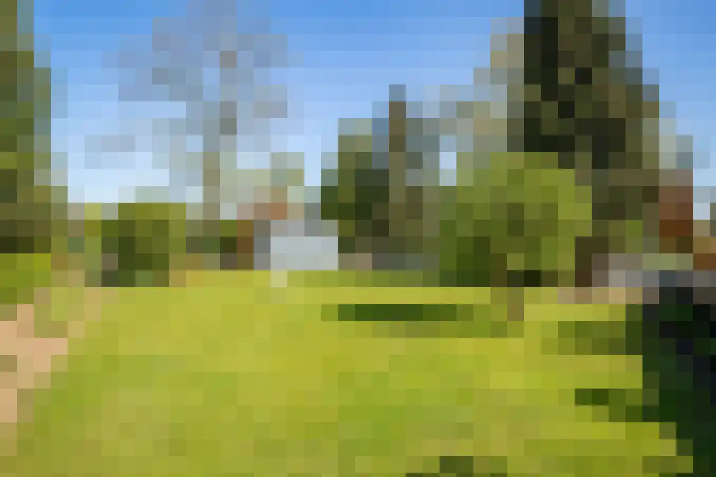 Gelreplein 2 Linne thumbnail 34