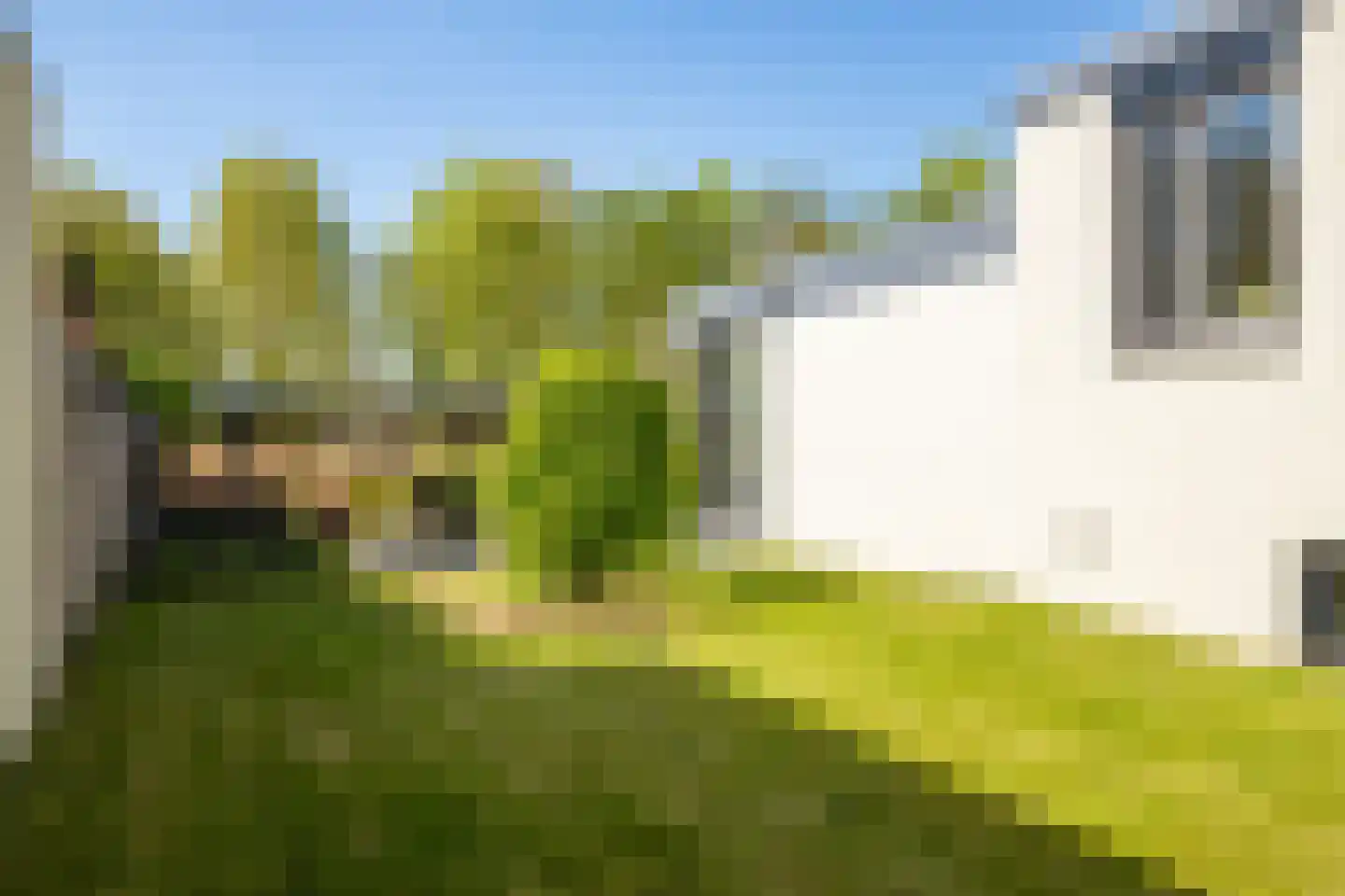 Gelreplein 2 Linne thumbnail 37