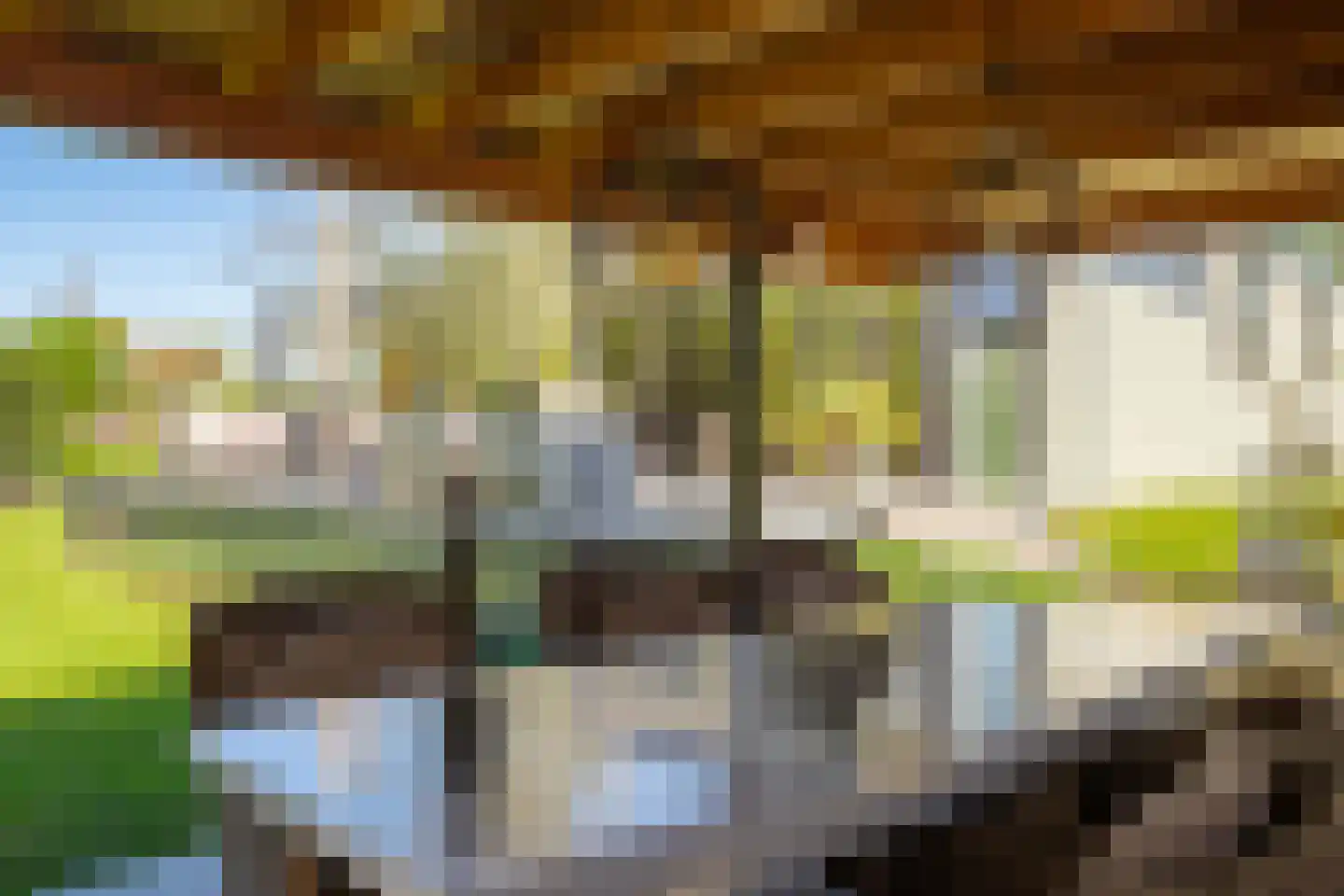 Gelreplein 2 Linne thumbnail 38